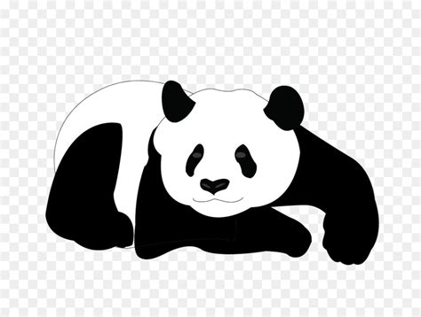 Giant Panda Cartoon Royalty Free Clip Art Panda Png Download 900