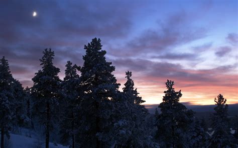 Water, sweden, trees, sky, clouds, lake, cabin, winter. Sweden Desktop Wallpaper (58+ images)