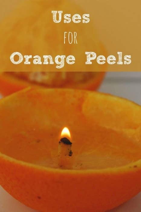 10 Uses For Orange Peels Bargainbriana