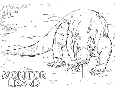 Cartoon Lizard Coloring Pages / Shera Coloring Pages - Coloring Home
