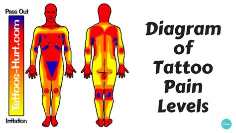 Diagram Of Tattoo Pain Hotspots [chart] Alltop Viral