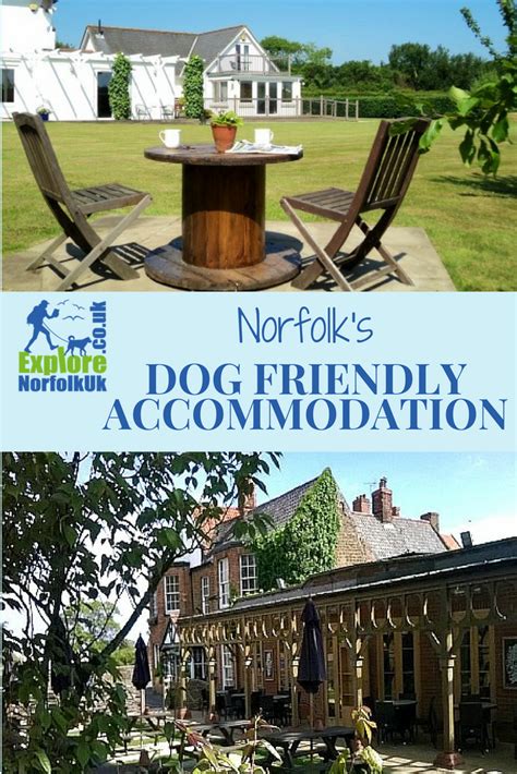 Our dog friendly cottages norfolk area page has a great selection of pet friendly holiday cottages on the norfolk coast and beyond. Dog Friendly Accommodation In Norfolk | Dog friendly ...