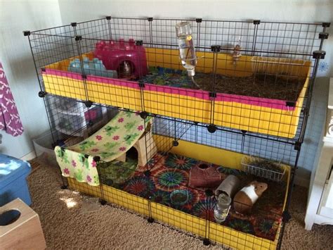 And unfortunately, we have heard many stories of people with depressed guinea pigs, merely because they were living in guinea pig habitats that were too small. Pin on Guinea Pig Cage Ideas & Cavy DIY