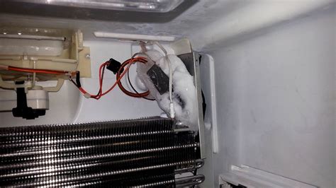 Freon Leak In Refrigerator Refrigerator Choices