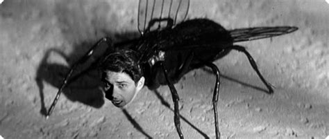 Misfit Robot Daydream Return Of The Fly 1959