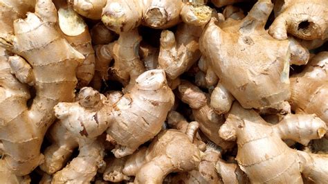 What Happens To Your Body If You Eat Ginger Every Day Canada Physician Directory Canada
