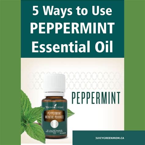 Ways To Use Peppermint Essential Oil Fiveonfriday