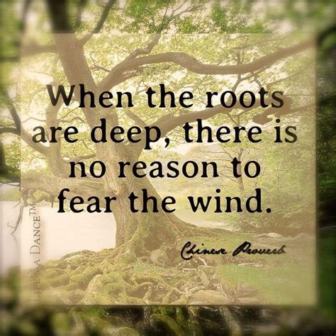 Roots Strength Quotes Quotesgram