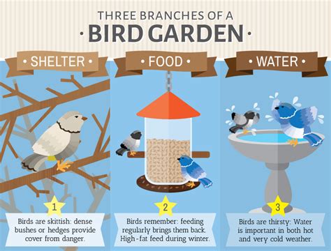 Then we saw him in the next door neighbour's garden and for a few days we watched him come. Attracting Birds to Your Back Yard | Birds