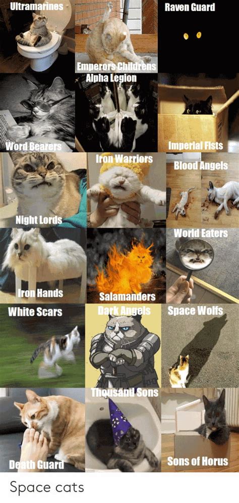 Which One Are You 9gag