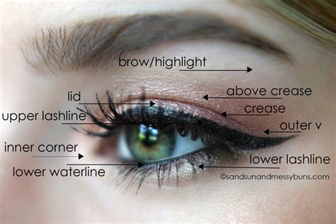 › how to make twitch logo transparent. Makeup 101: Eyeshadow Diagram for Makeup Newbies | Sand ...
