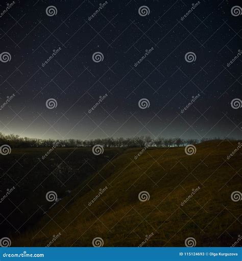 Bright Stars In The Night Sky Forests And Hills Background Stock