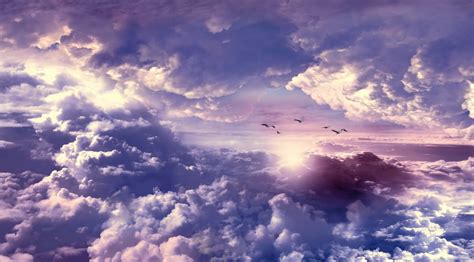 Download Flying Bird Cloud Nature Sky Hd Wallpaper