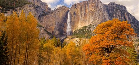 Where To See Californias Fall Foliage In Every Region