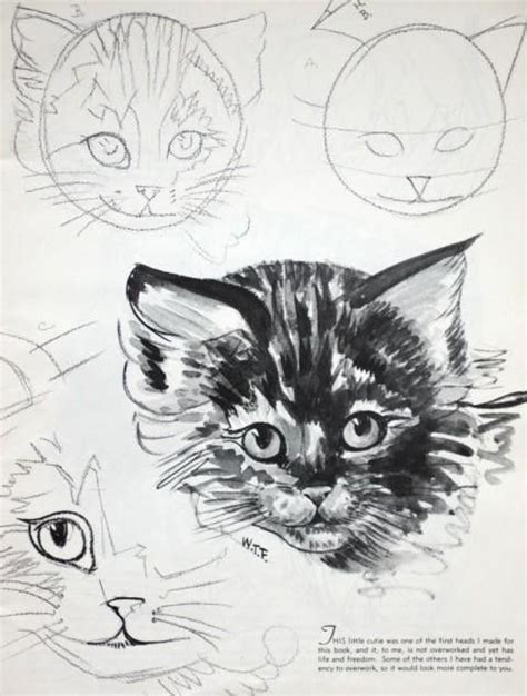 Meow With Images Animal Drawings Drawings Art