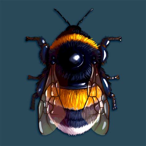 Bumblebee Art Print Bee Art Print Bee Illustration Insect Etsy