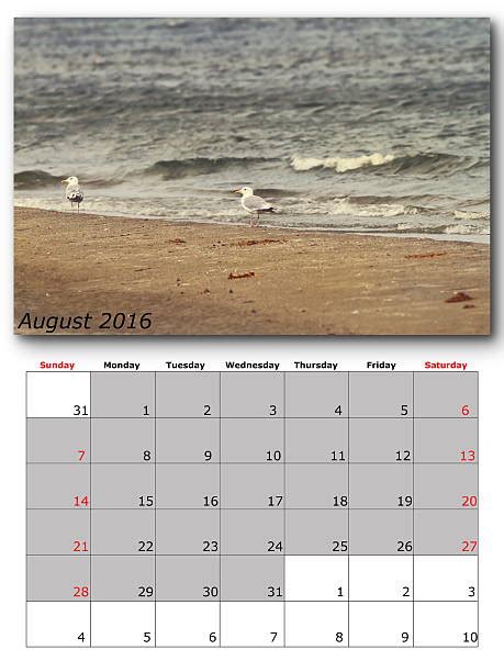 950 August 2016 Calendar Stock Photos Pictures And Royalty Free Images