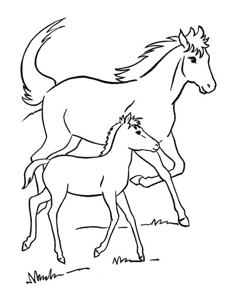 Free Horse Pictures To Print - Coloring Home