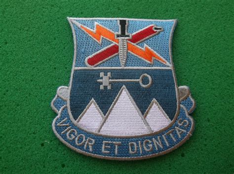 Special Troops Battalion 2nd Brigade 10th Mountain Division Patch