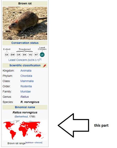 Are There Rats In Alberta Wikipedia Cant Decide Crackmacsca