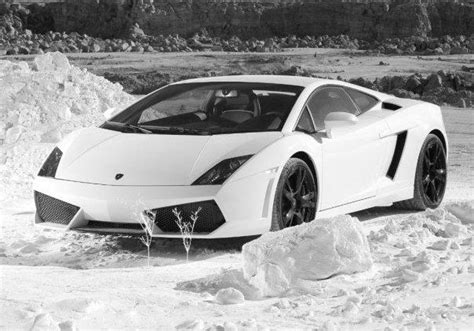 I Love Lamborghini
