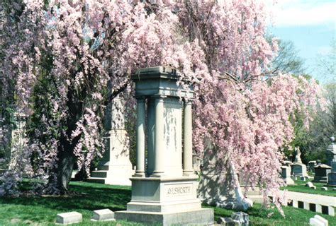 Cemetery Of The Week 58 Swan Point Cemetery Cemetery