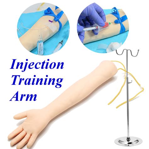Iv Practice Arm Phlebotomy Venipuncture Arm Practice Adult Venipuncture