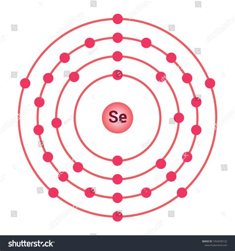 Bohr Model Selenium Atom Electron Structure Stock Vector Royalty Free
