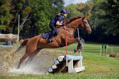Pin By Kristin On Equestrian Cross Country Horses Horse Jumping