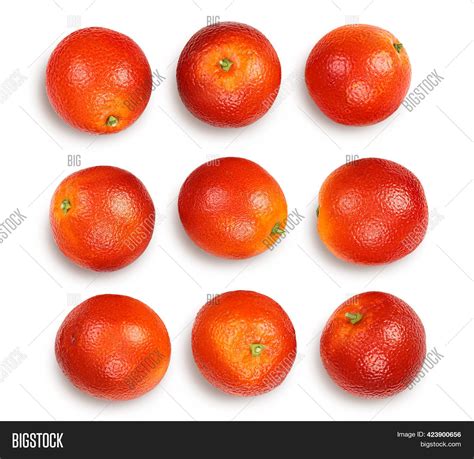 Blood Red Oranges Image And Photo Free Trial Bigstock