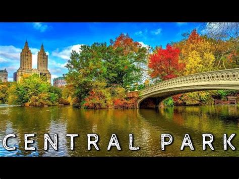 Wonderful Drone Shooting At Central Park Youtube