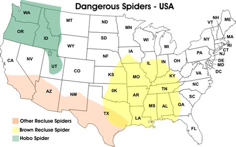 Spider Map Usa