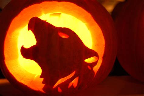 🎃the Art Of Jack O Lanterns 🎃 From Behind The Pen