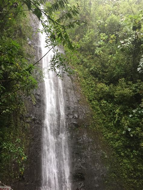 Question * please be as specific as possible. Manoa Falls, Oahu | Oahu, Waikiki, Hawaii