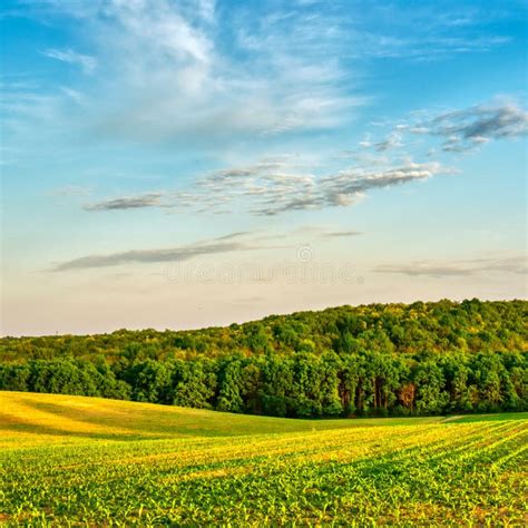 Meadow In The Hungarian Countryside In Spring Stock Photo Image Of
