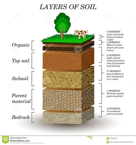 Muttergestein aus dem der boden entstanden ist. Layers Of Soil, Education Diagram. Mineral Particles, Sand ...