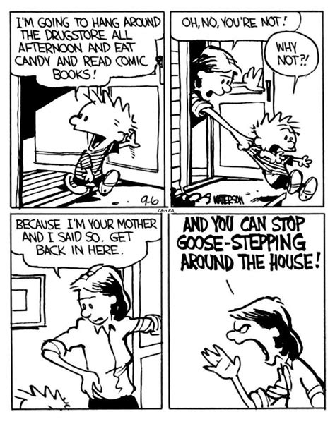 Calvin Und Hobbes Calvin And Hobbes Quotes Calvin And Hobbes Comics Funny Cartoons Cartoons