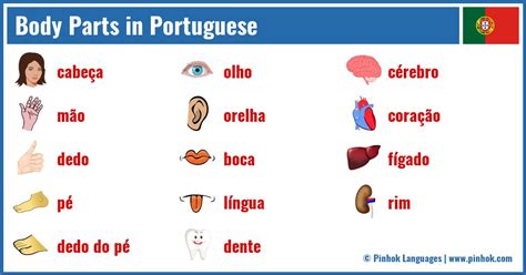 Body Parts In Portuguese