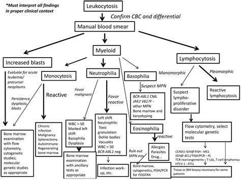 This may be due to c3a and gcsf inflammation in the precursor cells of bone marrow of a patient because of proliferation and abnormal increase in the monocyte and granulocyte precursors. Leukocytosis