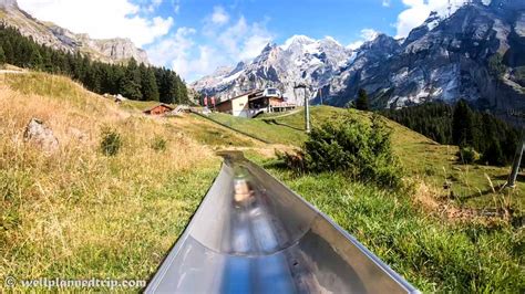 Kandersteg Mountain Coaster Pipe Ride Switzerland