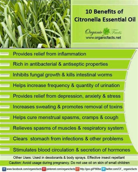 Pin On Citronella Young Living
