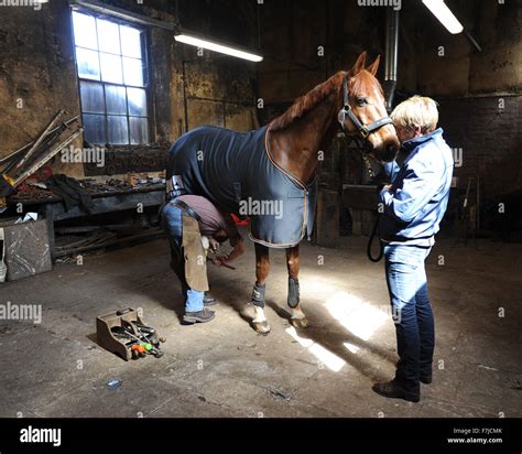 Farrier Shoeing Horse Hi Res Stock Photography And Images Alamy