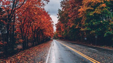 Autumn Road Wallpapers Top Free Autumn Road Backgrounds Wallpaperaccess