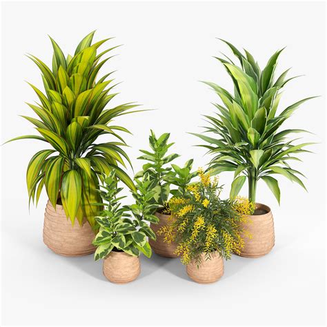 Tula Planter Collection 3d Model Cgtrader