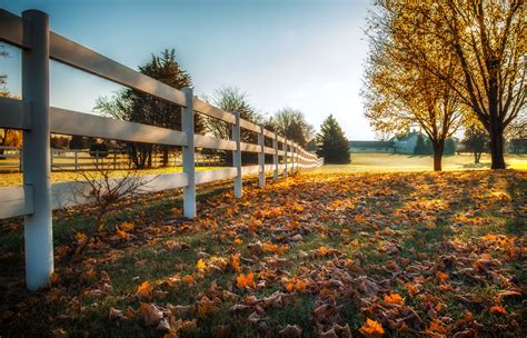 Autumn Fence Trees Grass Nature Wallpapers Hd Desktop And Mobile