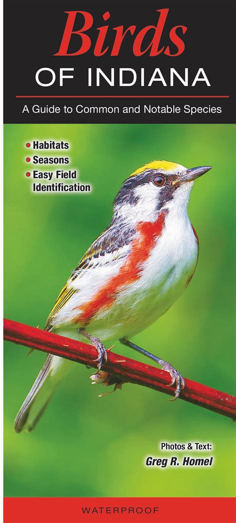 Birds Of Indiana Quick Reference Publishing