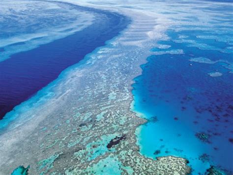 Australia Bans Waste Dumping Near Great Barrier Reef After Unesco
