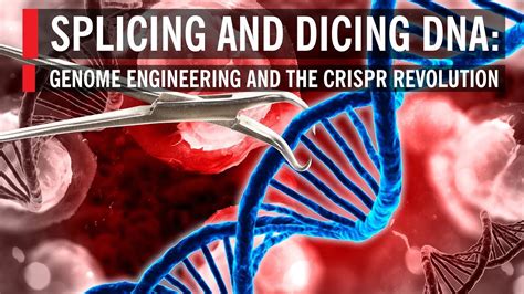 Splicing And Dicing Dna Genome Engineering And The Crispr Revolution Youtube