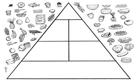 Food Pyramid Coloring Homeschooling Adventures