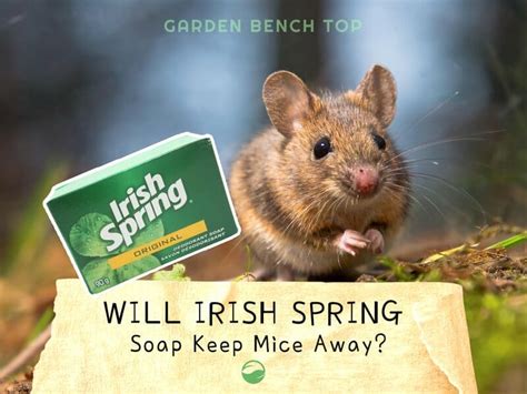 Will Irish Spring Soap Keep Mice Away Answered
